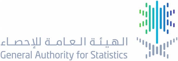 الإحصاء: 80.2% من السعوديين يتسوّقون عبر الإنترنت