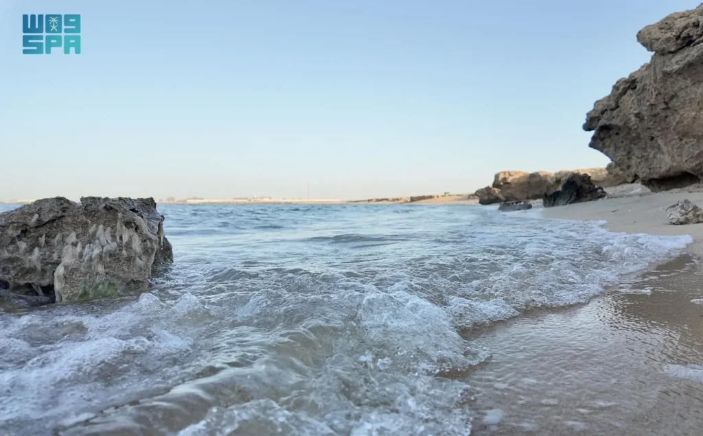 شاطئ الشعيبة.. كنز طبيعي يعزز السياحة البيئية والتاريخية على ساحل البحر الأحمر