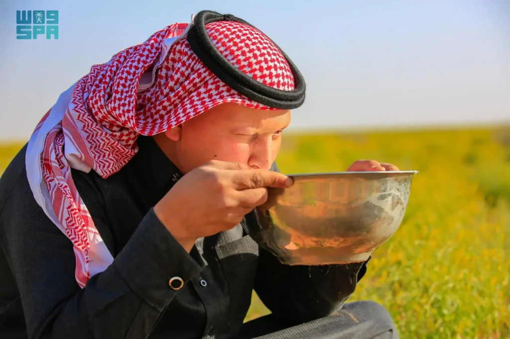 مع اعتدال الأجواء وازدهار المراعي.. حليب الإبل يتصدر مشهد الربيع في الحدود الشمالية
