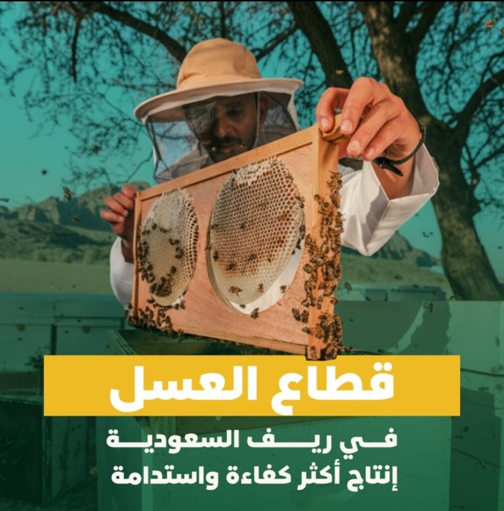 “ريف السعودية” يكشف عن اكتمال تنفيذ 5 مشاريع في قطاع تربية النحل بنحو 38 مليون ريال لتطوير وحماية السلالات المحلية