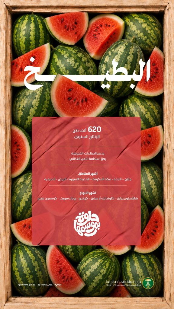 بإنتاج وفير يتجاوز (620) ألف طن.. البطيخ يشهد ذروة الإقبال خلال موسم الصيف