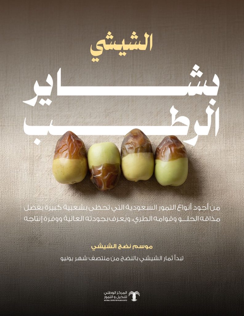 “النخيل والتمور”: إقبال واسع من المستهلكين على رطب الشيشي مع باكورة حصاده في موسم بشاير الرطب