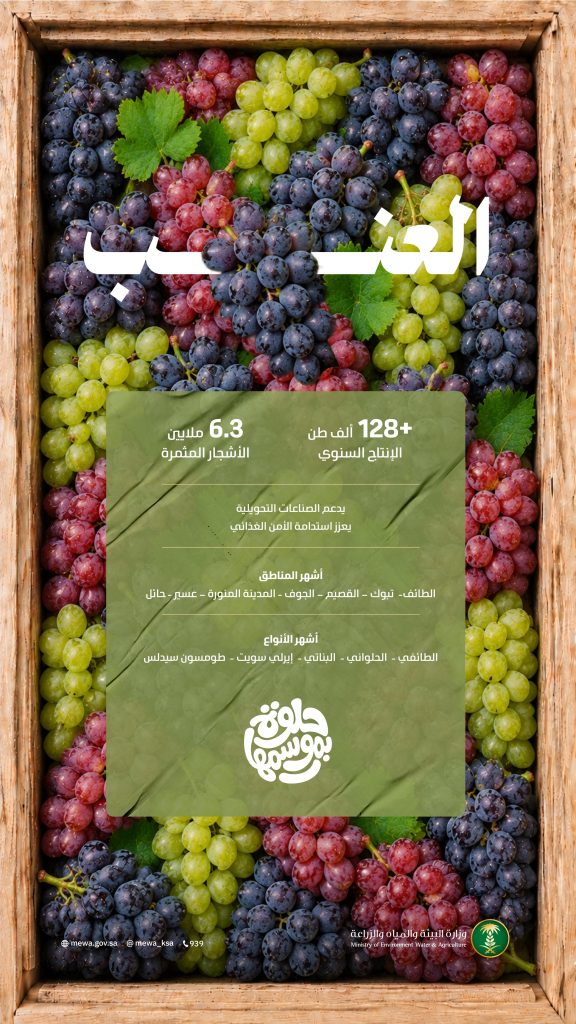 عناقيد العنب تغمر الأسواق بإنتاج وفير يتجاوز 128 ألف طن من أجود الأصناف المحلية