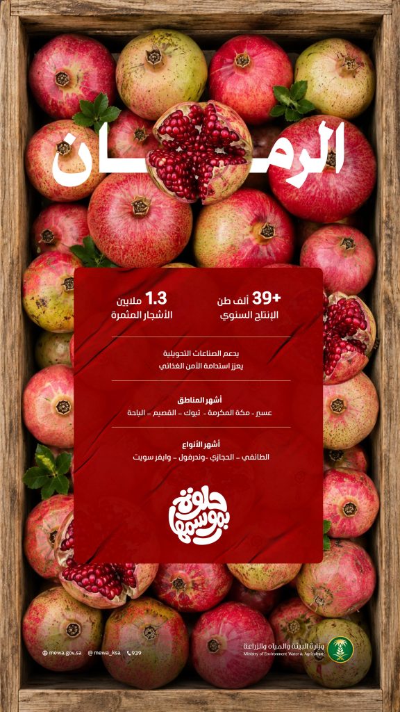 1.3 مليون شجرة رمان في المملكة تنتج 39.7 ألف طن خلال موسم الصيف