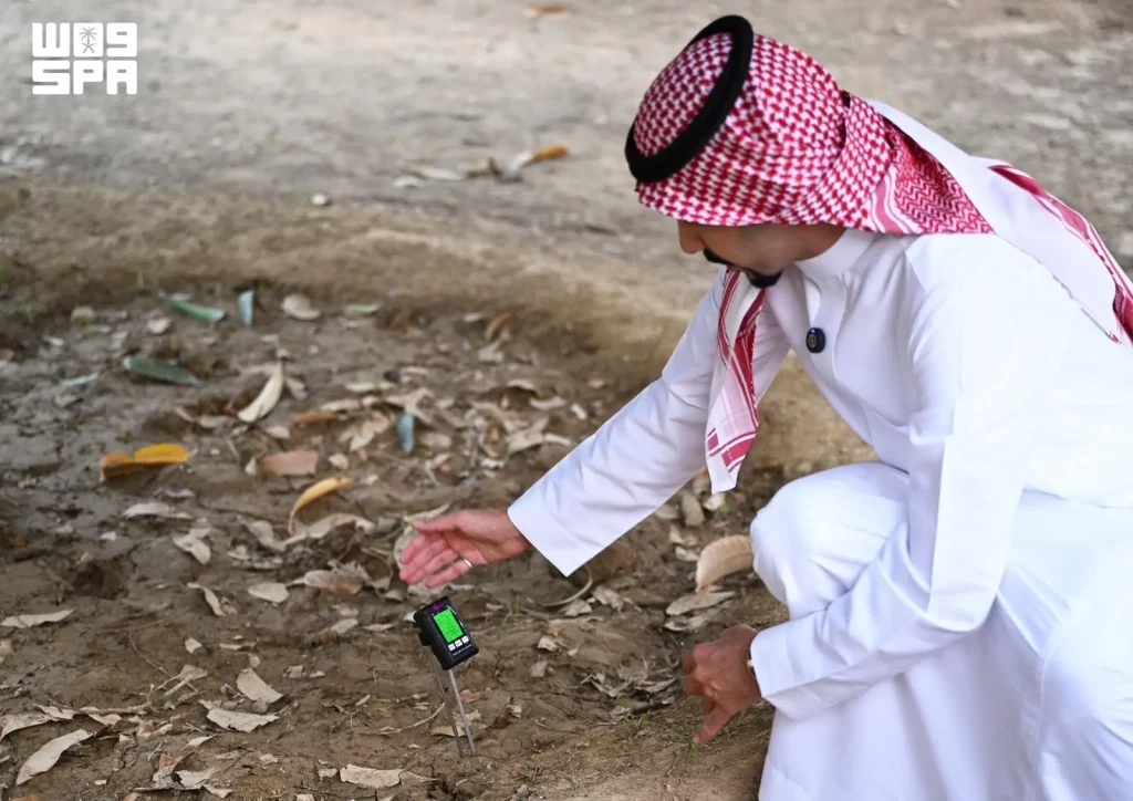من قطرة الماء إلى ثمرة الحصاد.. رحلة زراعية جديدة في السعودية يقودها الذكاء الاصطناعي