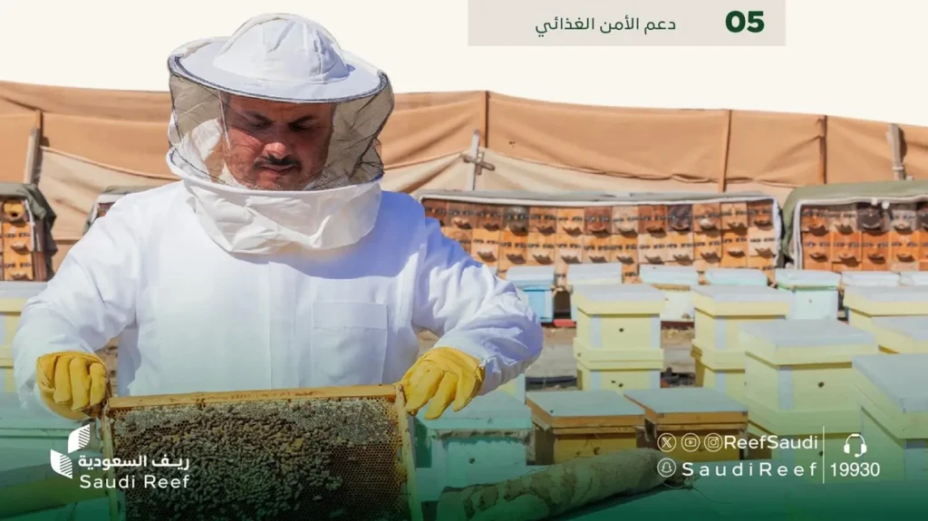 “ريف السعودية” ينجز 11 مشروعًا تنمويًا بأكثر من 70 مليون ريال لدعم قطاع العسل وتربية النحل