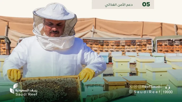 “ريف السعودية” ينجز 11 مشروعًا تنمويًا بأكثر من 70 مليون ريال لدعم قطاع العسل وتربية النحل
